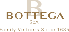 BOTTEGA S.P.A.
